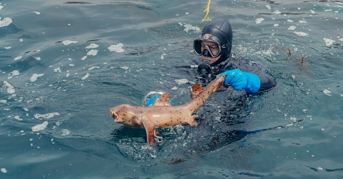 Морская рыбалка с борта корабля в открытом море
