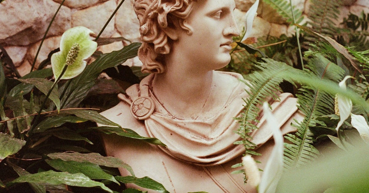 Морские легенды Олимпа корабли богов цифровую эпоху