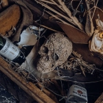 Сладкие морские приключения и поиск сокровищ в игре Sugar Rush