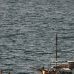 Собачья команда на корабле в морском приключении