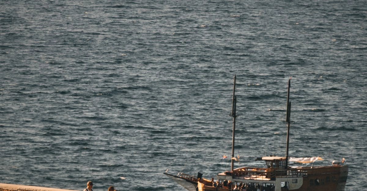 Собачья команда на корабле в морском приключении