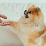 Программы лояльности казино без депозита - награды и бонусы