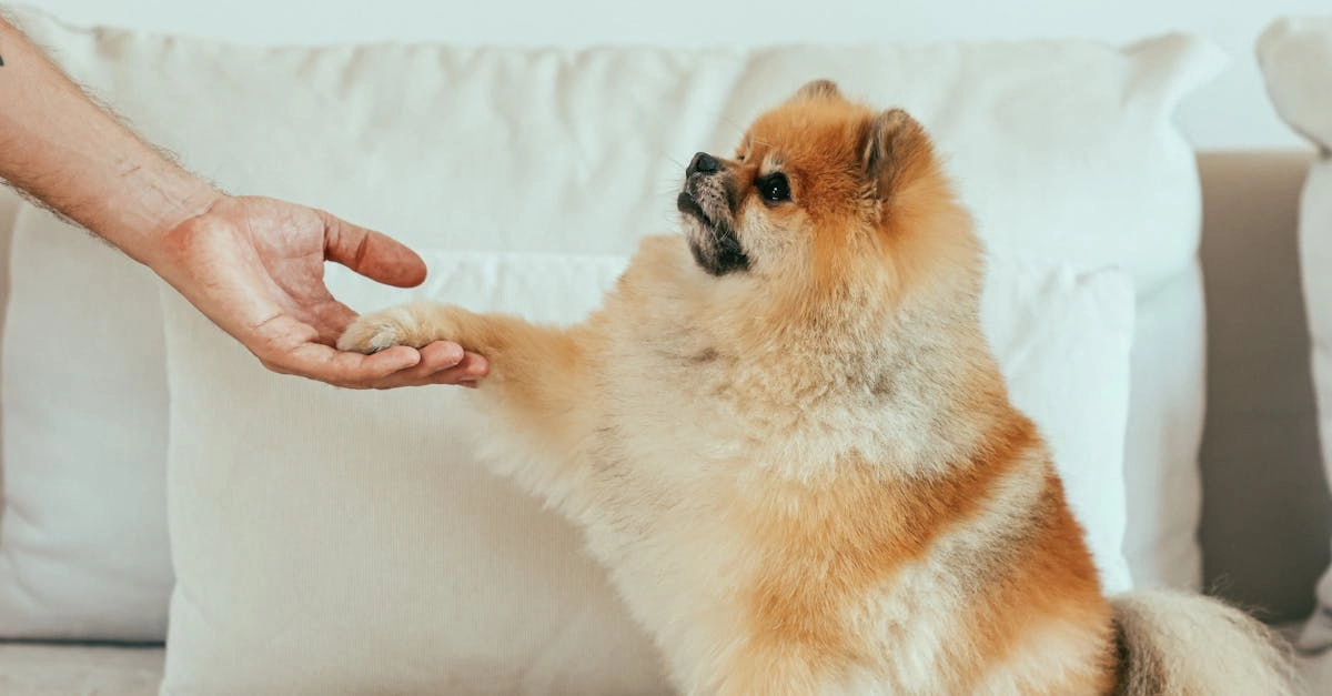 Программы лояльности казино без депозита - награды и бонусы